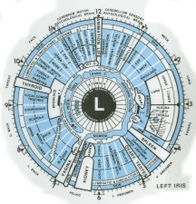 Iridology Santa Barbara