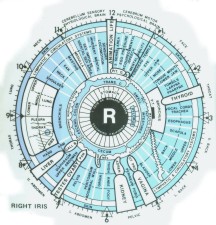 Iridology Santa Barbara